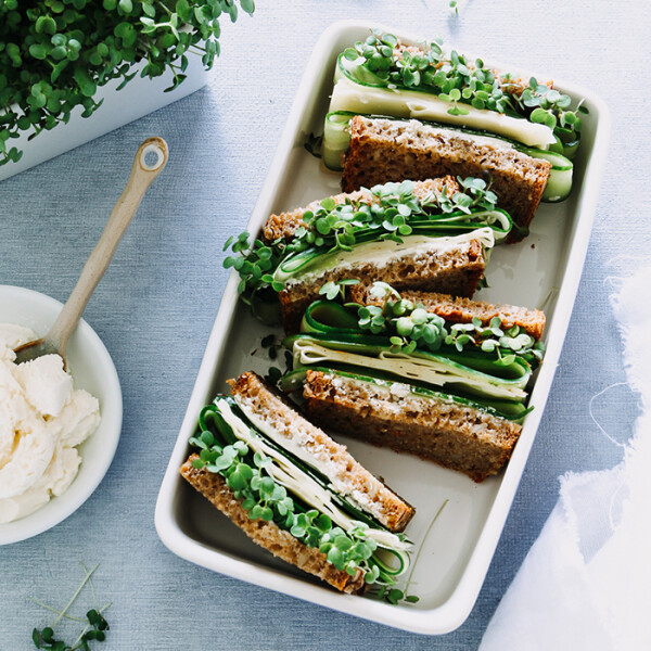 Dinkel-Käse-Sandwiches mit Senf-Microgreens - Dinkel-Käse-Sandwiches mit Senf-Microgreens