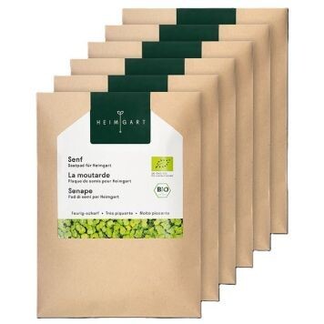 MIx-Saaatpad-Sets aus 6 Sorten