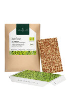 Gartenkresse Microgreens 6er Saatpad Set