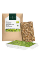 Rauke Microgreens 6er Saatpad Set