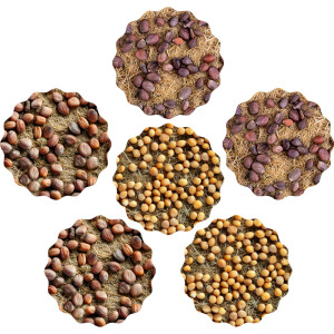 Scharfer Microgreens Mix 6er Saatpad Set