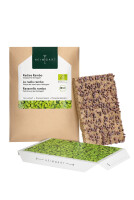 Scharfer Microgreens Mix 6er Saatpad Set