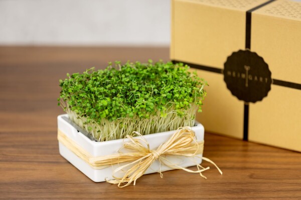 Heimgart Geschenk-Edition – mit Rezeptheft