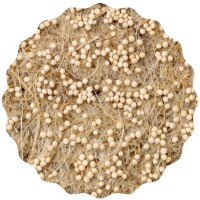 Amaranth Microgreens Saatpads