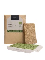 Amaranth Microgreens Saatpads