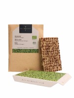 Grünkohl Microgreens Saatpads