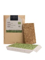 Alfalfa Microgreens Saatpads