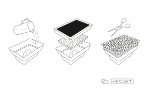 Anzuchtschale 6er Set