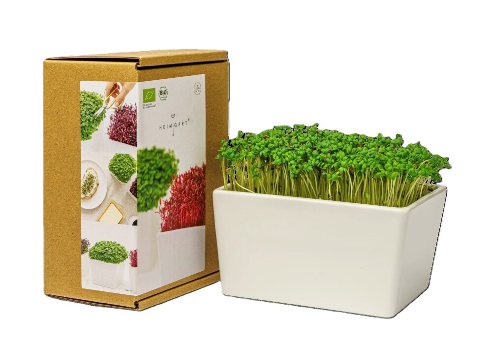 Heimgart Microgreens Starter-Kit MINI