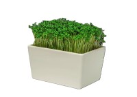 Heimgart Microgreens Starter-Kit MINI