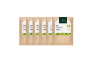 Daily Greens Mix 6 Pads