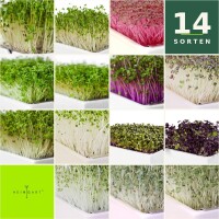 Signature Mix 14 Pads