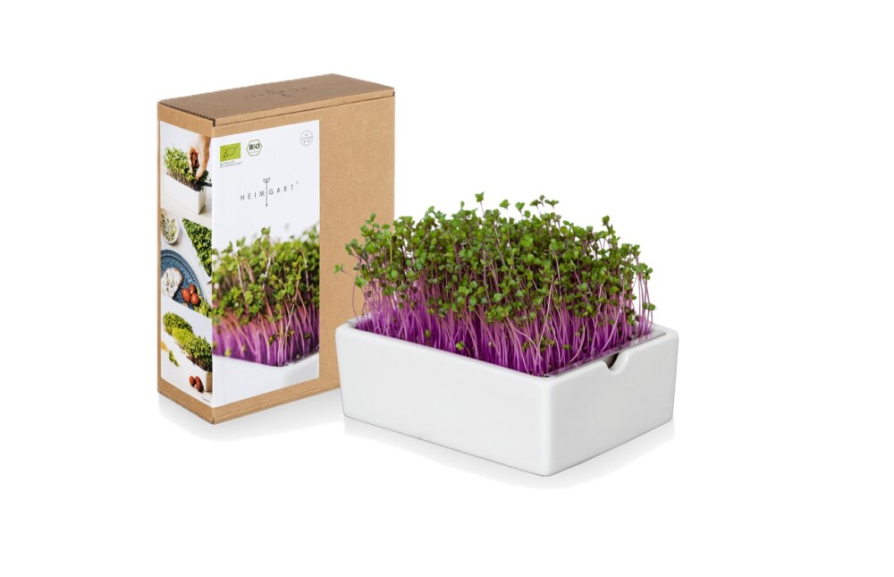 Heimgart Microgreens Starter-Kit